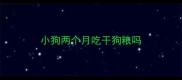 小狗两个月吃干狗粮吗