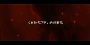 拉布拉多巧克力色好看吗