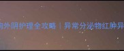 拉布拉多母狗外阴护理全攻略异常分泌物红肿异味怎么办