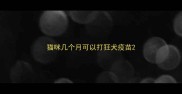 猫咪几个月可以打狂犬疫苗