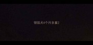 银狐犬4个月多重