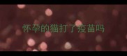 怀孕的猫打了疫苗吗
