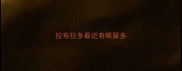 拉布拉多最近有眼屎多