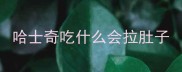 哈士奇吃什么会拉肚子