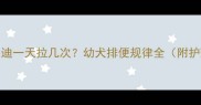 5个月泰迪一天拉几次幼犬排便规律全附护理指南
