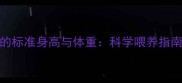 边牧5个月大时的标准身高与体重科学喂养指南及健康发育全
