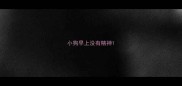 小狗早上没有精神