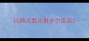 比熊犬要注射多少疫苗