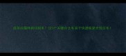 疫苗后猫咪疯狂脱毛这5个关键点让毛孩子快速恢复光洁皮毛