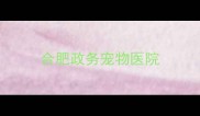 合肥政务宠物医院
