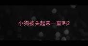 小狗被关起来一直叫
