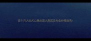 五个月大幼犬口臭的四大原因及专业护理指南