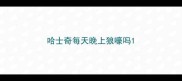 哈士奇每天晚上狼嚎吗