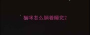 猫咪怎么躺着睡觉