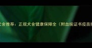 芜湖拉布拉多犬舍推荐正规犬舍健康保障全附血统证书疫苗接种售后保障