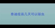 泰迪疫苗几天可以驱虫