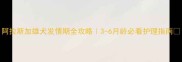 阿拉斯加雄犬发情期全攻略3-6月龄必看护理指南
