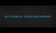 柴犬几月龄能吃肉新手家长必看科学喂养指南