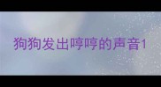 狗狗发出哼哼的声音