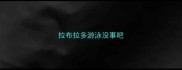 拉布拉多游泳没事吧