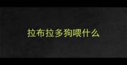 拉布拉多狗喂什么