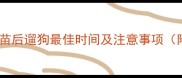 科学指南成年犬疫苗后遛狗最佳时间及注意事项附详细护理方案