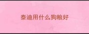 泰迪用什么狗粮好
