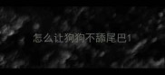 怎么让狗狗不舔尾巴