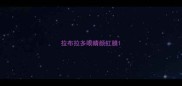 拉布拉多眼睛颜虹膜