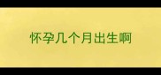 怀孕几个月出生啊