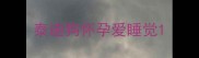 泰迪狗怀孕爱睡觉