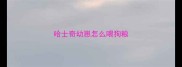 哈士奇幼崽怎么喂狗粮