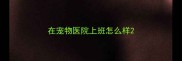 在宠物医院上班怎么样