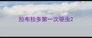 拉布拉多第一次驱虫