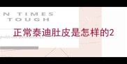 正常泰迪肚皮是怎样的