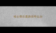 哈士奇总是跑丢咋么办