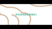 贵阳宠物猫免费赠送
