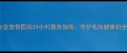 鹤壁专业宠物医院24小时服务指南守护毛孩健康的全攻略