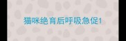 猫咪绝育后呼吸急促