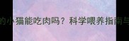 两个月大的小猫能吃肉吗科学喂养指南与注意事项