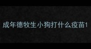 成年德牧生小狗打什么疫苗