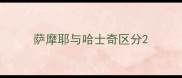 萨摩耶与哈士奇区分