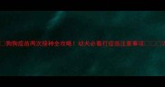 狗狗疫苗两次接种全攻略幼犬必看打疫苗注意事项
