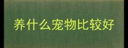 养什么宠物比较好