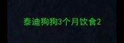 泰迪狗狗3个月饮食