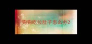 狗狗吃拉肚子怎么办