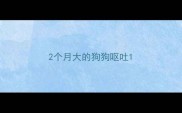 2个月大的狗狗呕吐