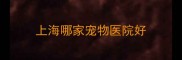 上海哪家宠物医院好