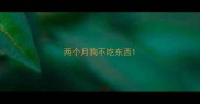 两个月狗不吃东西