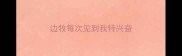 边牧每次见到我特兴奋